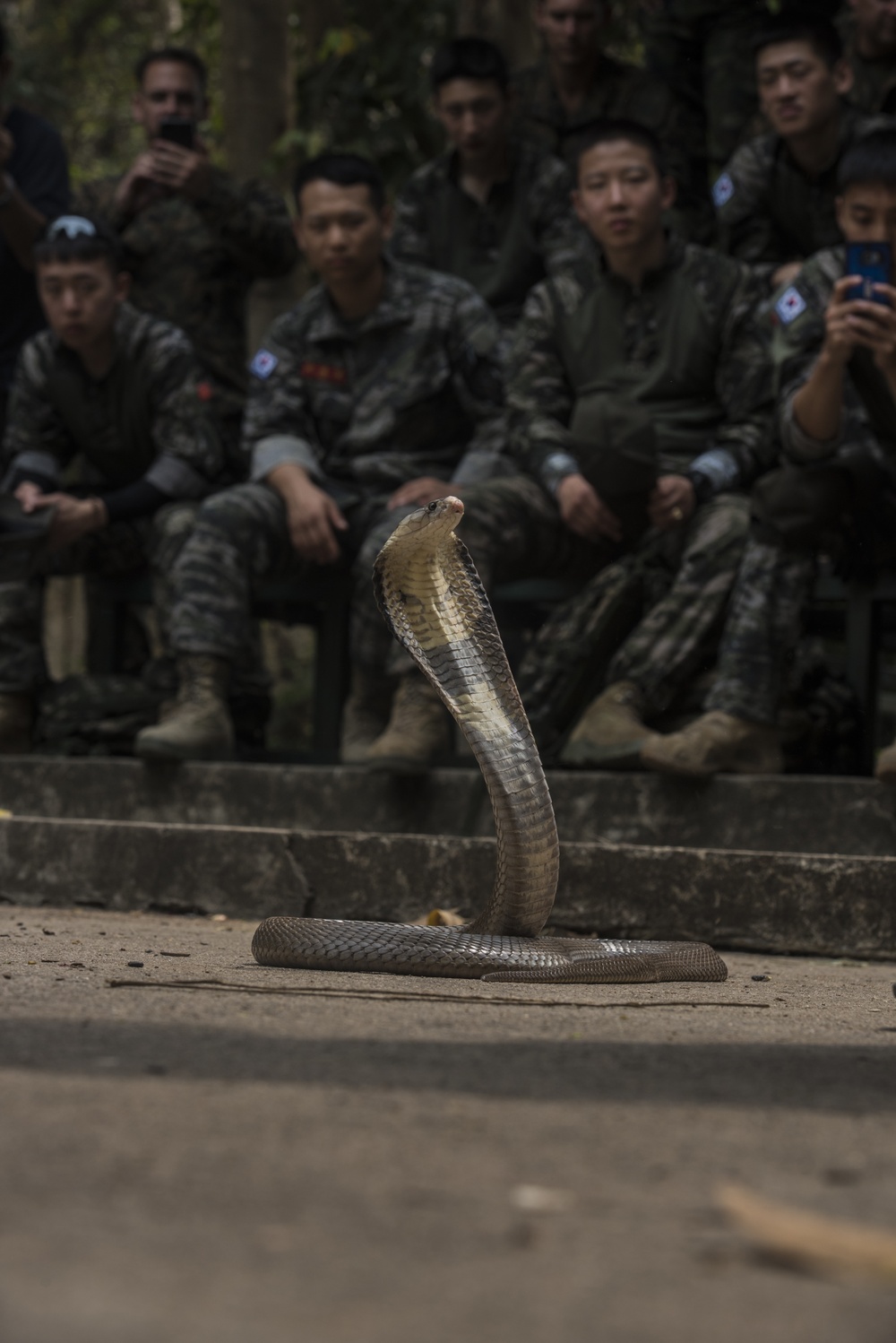  DVIDS – Images – Cobra Gold 18 : les Marines des forces alliées s’entraînent à la survie dans la jungle [Image 12 of 16]