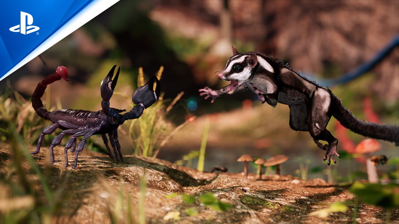  Vivez votre propre documentaire animalier dans « Away : The Survival Series », à paraître en 2021 – PlayStation.Blog
