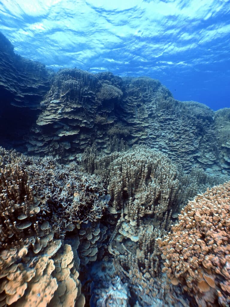 Les Îles Marshall sous l’eau