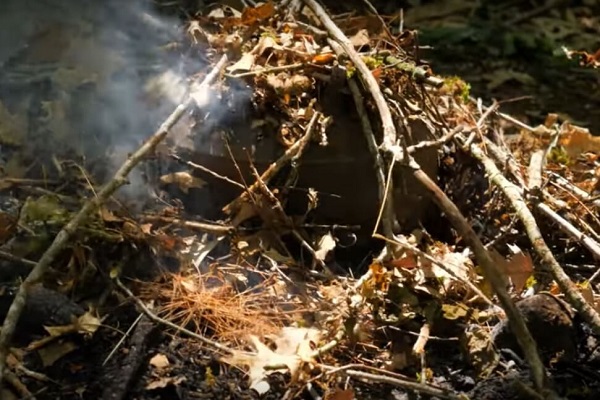 Brindilles et feuilles sur la cocotte