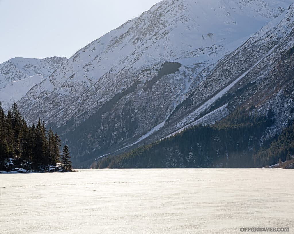 Lac Ptarmigan