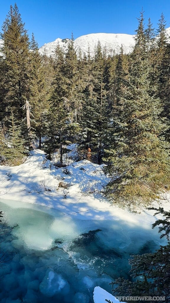 Eau de fonte du glacier du ruisseau Ptarmigan dans la forêt